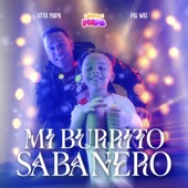 Mi Burrito Sabanero artwork