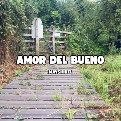 AMOR DEL BUENO