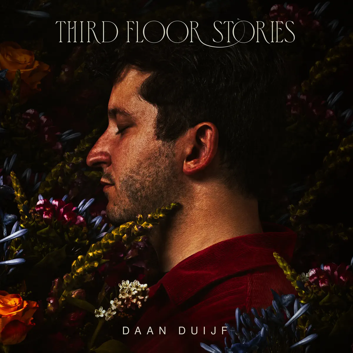 Daan Duijf - Thrid Floor Stories (2024) [iTunes Plus AAC M4A]-新房子