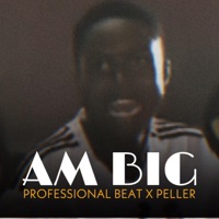Am big (feat. Peller) - Single - Professional Beat