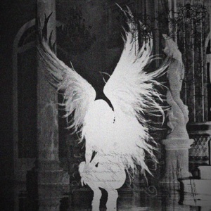 fallen angel - Single