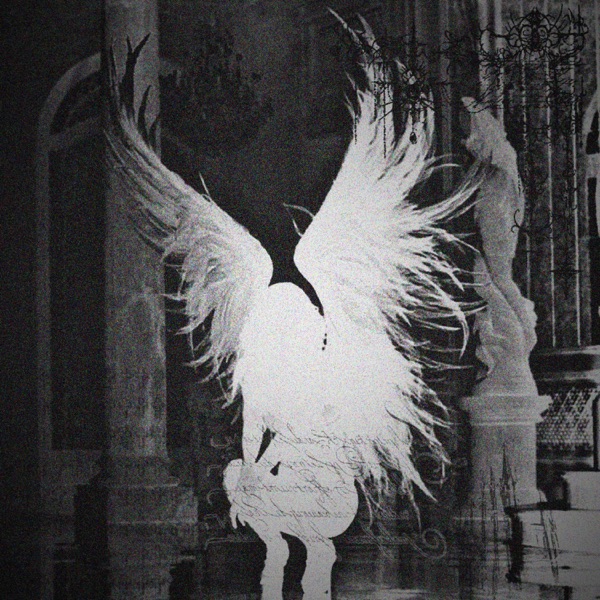 fallen angel - Single