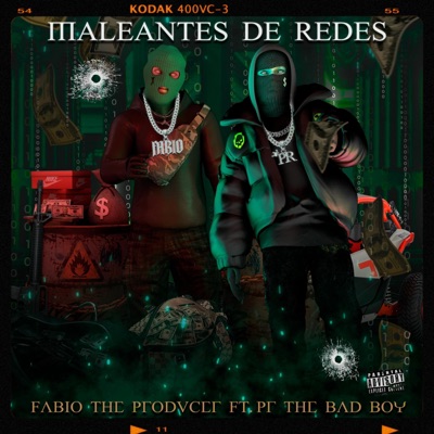 Maleantes De Redes (feat. PR The Bad Boy) - Single