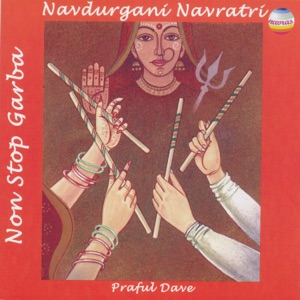 Navdurgani Navratri (Non-Stop Garba)