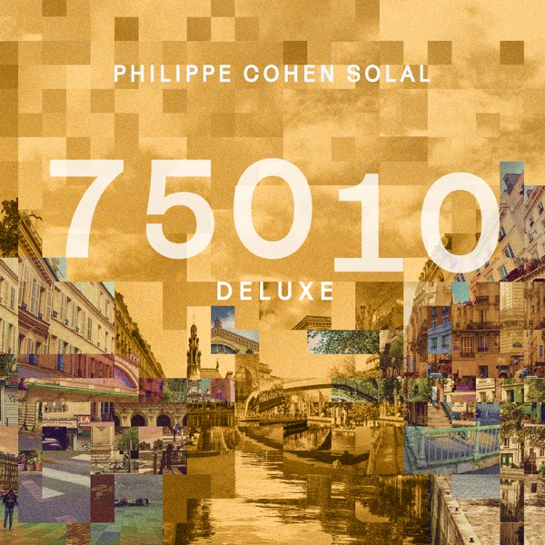 75010 (Deluxe)