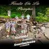 Marimba Orquesta Sentimiento - No La Beses