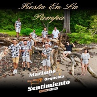 Marimba Orquesta Sentimiento - No La Beses