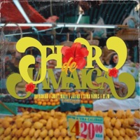 Flor de jamaica (feat. Balaguero, Tiina Flores, Jalfab & Juliet Malli) - Single - VOXSAYAB
