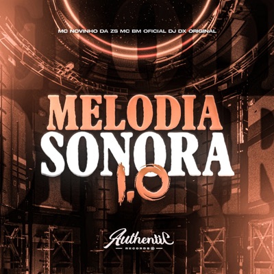 Melodia Sonora 1.0 (feat. Mc Novinho Da ZS) - Single