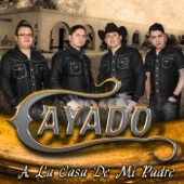 album