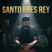 Santo eres Rey song art