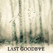 Last Goodbye artwork