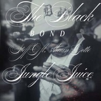 Steff G Jungle Juice $haun Gotte - Single - $hAUN GOTTE