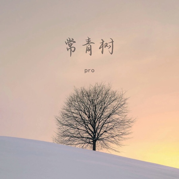 常青树 - Single