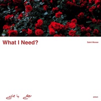 What I Need - Single - Saint Moose & Amxn