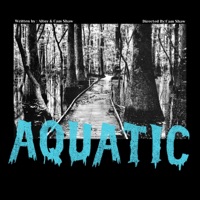 Aquatic (feat. Cam Shaw) - Single - Altoy