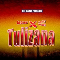 Tulizana (feat. Perfect melody) - Single - Aloony
