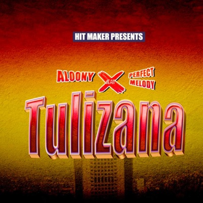 Tulizana (feat. Perfect melody) - Single