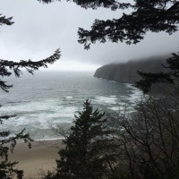 Reason why! - Single - burnnt