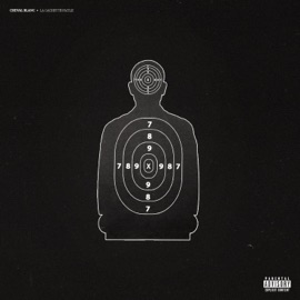 LA GÂCHETTE FACILE Cheval Blanc