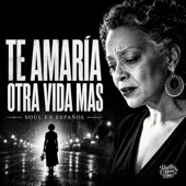 Te Amaría Otra Vida Más song art