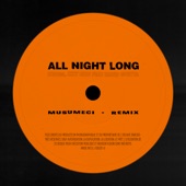 All Night Long (feat. David Guetta) [Musumeci Remix] artwork