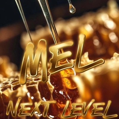 Mel (feat. Théo kun, A’z & Ronny Dínamo) - Single