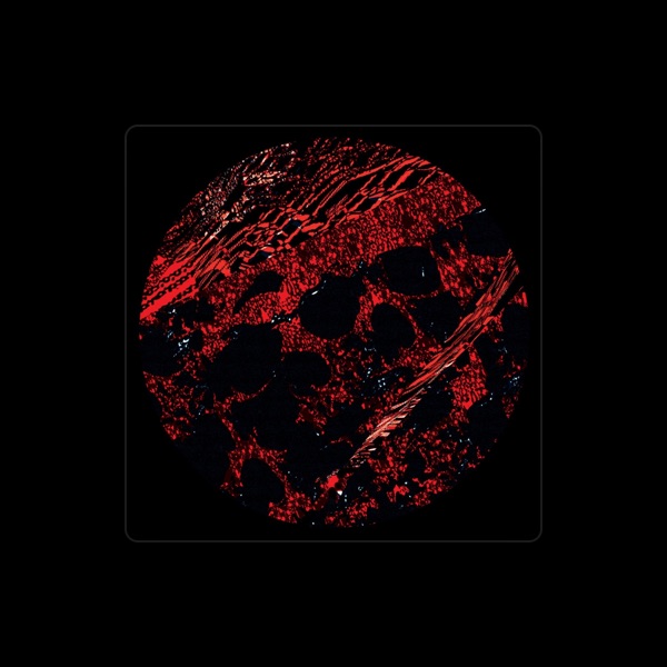 Penik Ettek's avatar