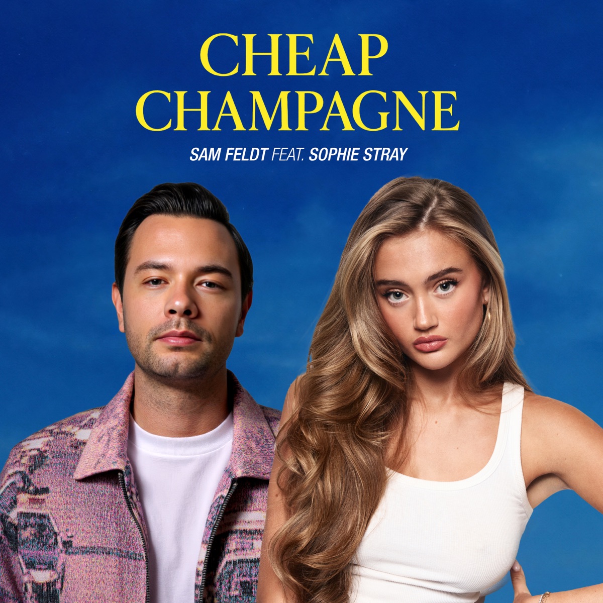 Sam Feldt - Cheap Champagne (feat. Sophie Stray) - Single (2025) [iTunes Plus AAC M4A]-新房子