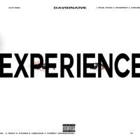 Experience - David Naïve
