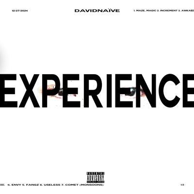 Experience