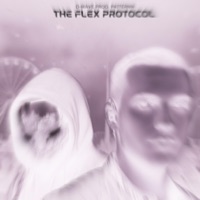 The Flex Protocol - EP - D-Wave & paternn