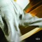A24 feat. 3House - BANNY BUGS lyrics