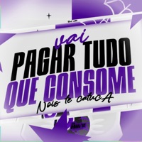 Vai Pagar Tudo Que Consome Nois te Catuca - Single - DJ JR