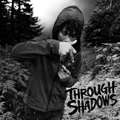 Through The Shadows