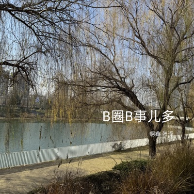 B圈B事儿多 - Single