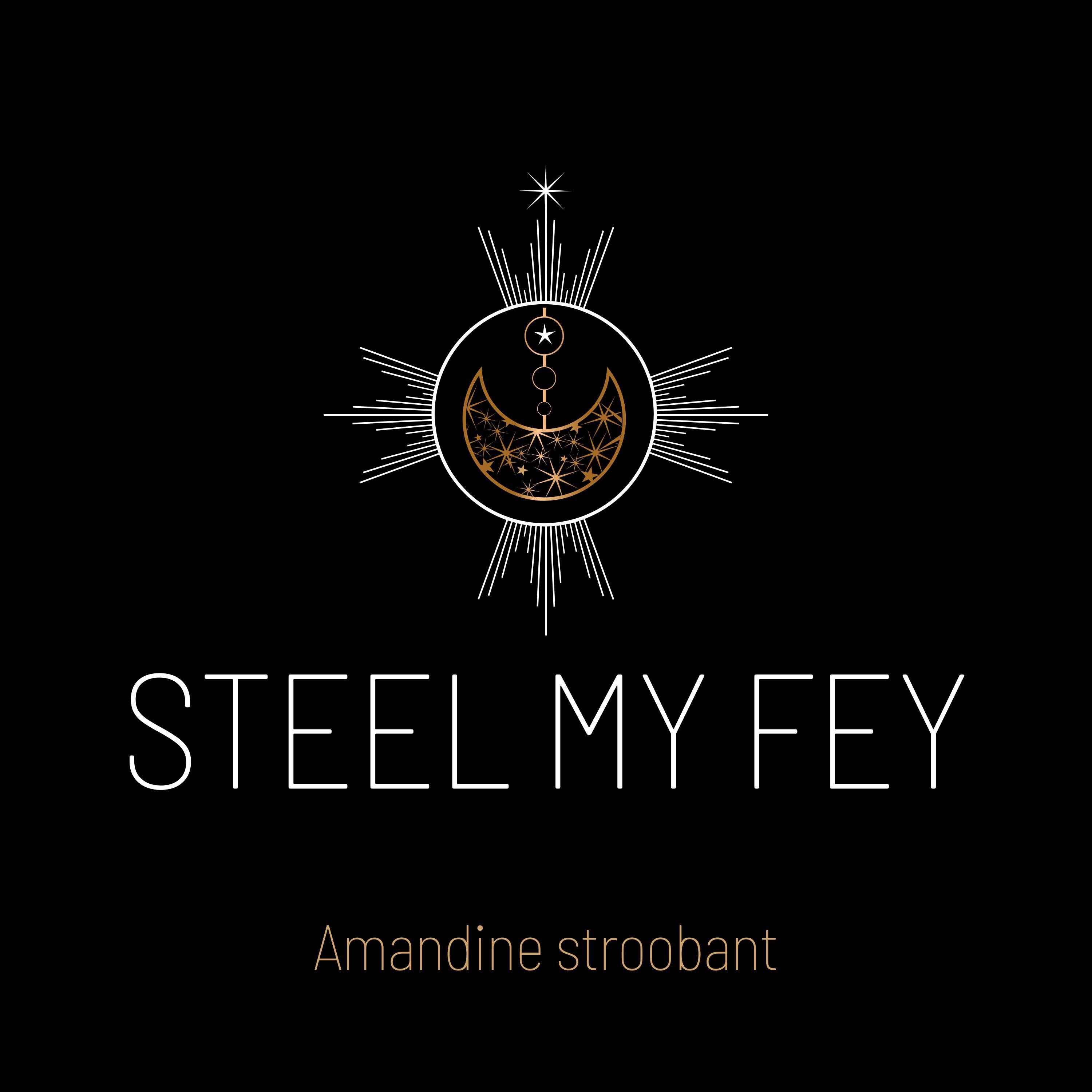 Steel My Fey - Single