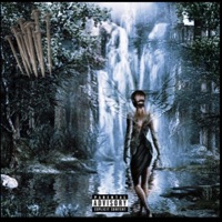 13 INCH NAILS - Single - 4ortylane