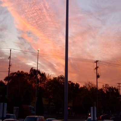 100 Bands Freestyle - Single