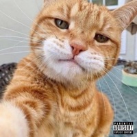 THE PRXJEK - Single - Its KiDDO