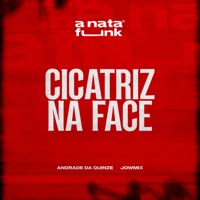 Cicatriz Na Face - Single - JowMix, A Nata Funk & Andrade da Quinze