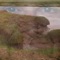 Cuig - Kevin Gallagher lyrics
