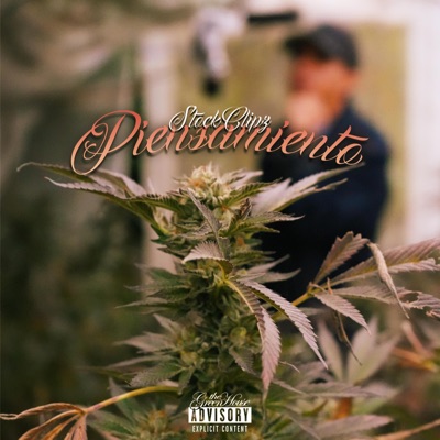 PIENSAMIENTO (feat. STOCKCLIPZ) - Single