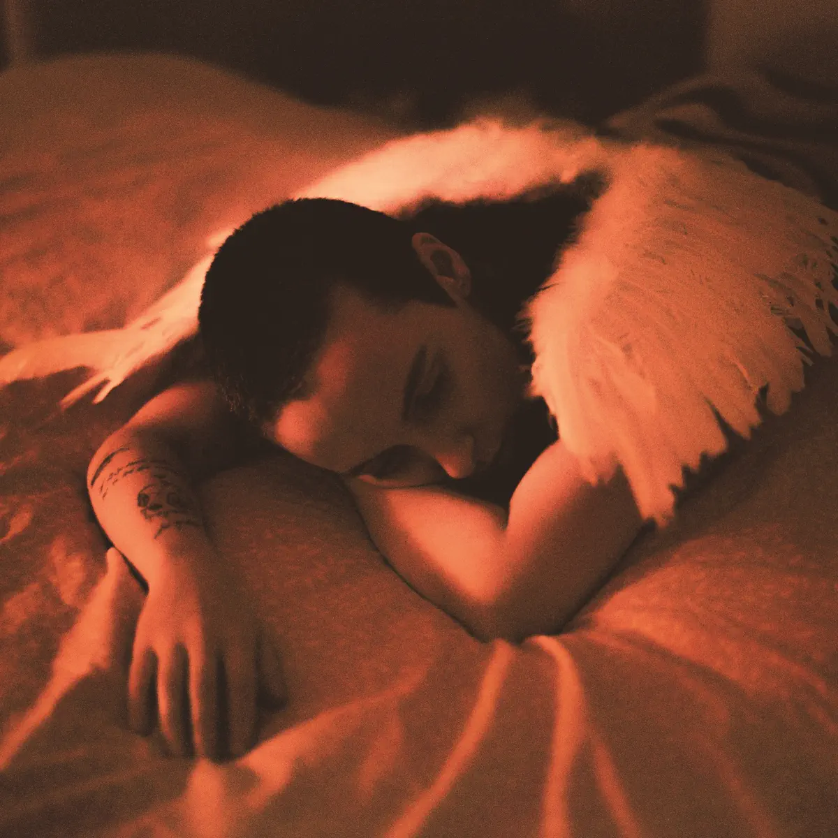 Sea Girls - Midnight Butterflies (2024) [iTunes Plus AAC M4A]-新房子