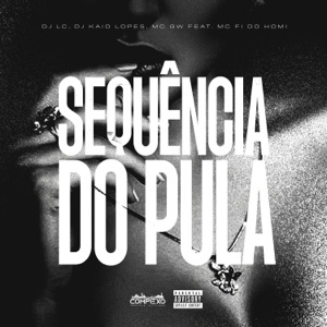 Sequência do Pula (feat. Mc Fi do Homi)