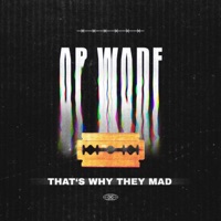 THATS WHY THEY MAD (feat. ZayHube) - Single - AP WADE