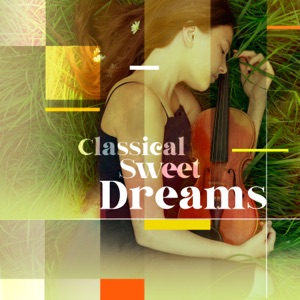 Concerto for Piano and Orchestra, BWV 1054: II. Adagio e piano sempre