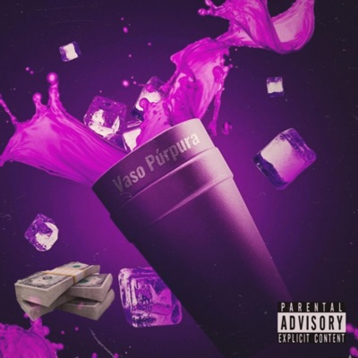 VASO PURPURA - Single