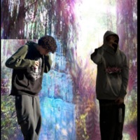 xlready died (feat. wedo) - Single - 2muxhpape
