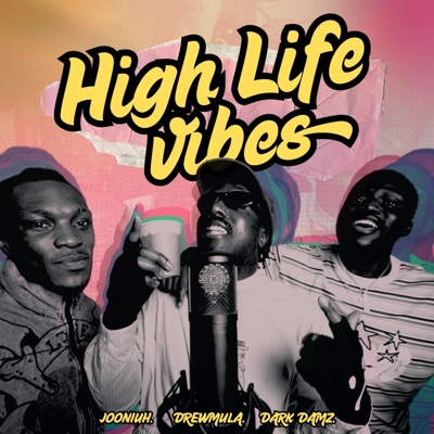 HIGH LIFE VIBES (feat. Jooniuh & Dark Damz) - Single